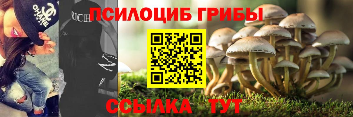 Псилоцибиновые грибы Psilocybe  Вход с VPN  купить наркотик  Галлюциногенные грибы мицелий  Белая Калитва 